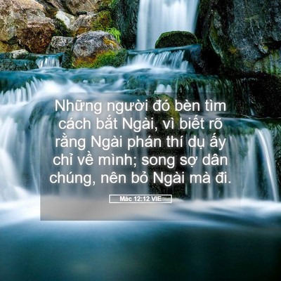 Picture 05 - Mác 12:12 VIE - Những người đó bèn tìm cách bắt - Bible Verse Picture