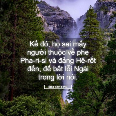 Picture 05 - Mác 12:13 VIE - Kế đó, họ sai mấy người thuộc về - Bible Verse Picture