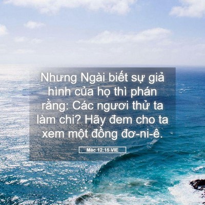 Picture 05 - Mác 12:15 VIE - Nhưng Ngài biết sự giả hình của họ - Bible Verse Picture