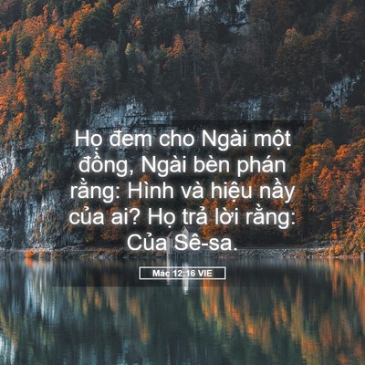 Picture 05 - Mác 12:16 VIE - Họ đem cho Ngài một đồng, Ngài bèn - Bible Verse Picture