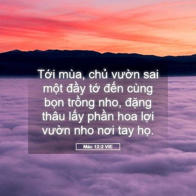 Picture 05 - Mác 12:2 VIE - Tới mùa, chủ vườn sai một đầy tớ - Bible Verse Picture