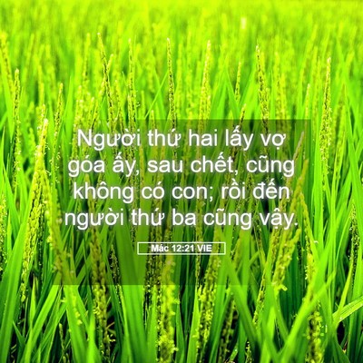 Picture 05 - Mác 12:21 VIE - Người thứ hai lấy vợ góa ấy, sau - Bible Verse Picture
