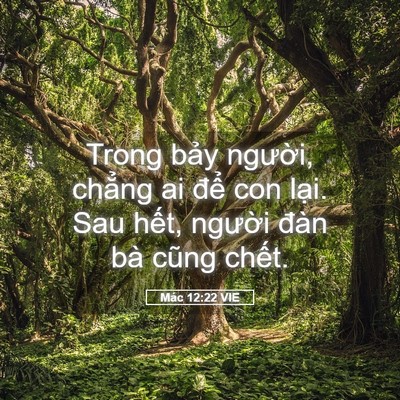 Picture 05 - Mác 12:22 VIE - Trong bảy người, chẳng ai để con lại. - Bible Verse Picture