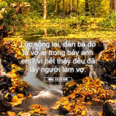 Picture 05 - Mác 12:23 VIE - Lúc sống lại, đàn bà đó là vợ ai - Bible Verse Picture