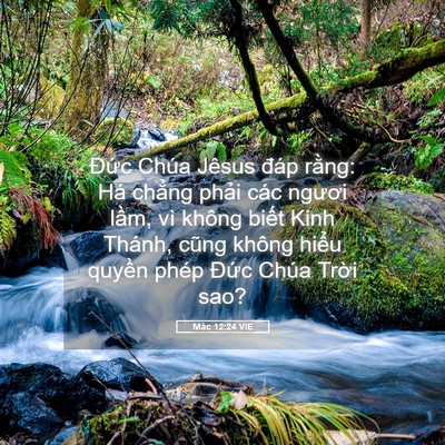 Picture 05 - Mác 12:24 VIE - Đức Chúa Jêsus đáp rằng: Há chẳng - Bible Verse Picture
