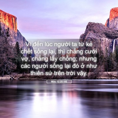 Picture 05 - Mác 12:25 VIE - Vì đến lúc người ta từ kẻ chết - Bible Verse Picture