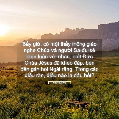 Picture 05 - Mác 12:28 VIE - Bấy giờ, có một thầy thông giáo nghe - Bible Verse Picture