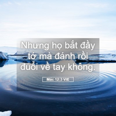 Picture 05 - Mác 12:3 VIE - Nhưng họ bắt đầy tớ mà đánh rồi - Bible Verse Picture