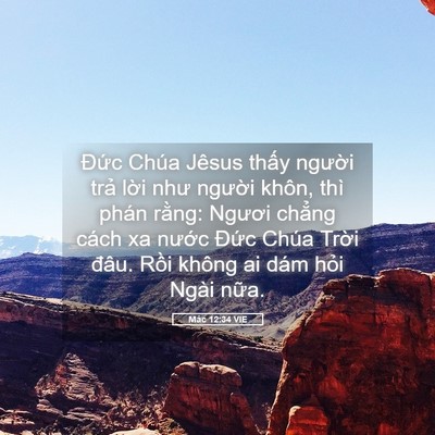 Picture 05 - Mác 12:34 VIE - Đức Chúa Jêsus thấy người trả lời - Bible Verse Picture