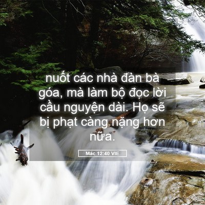 Picture 05 - Mác 12:40 VIE - nuốt các nhà đàn bà góa, mà làm bộ - Bible Verse Picture