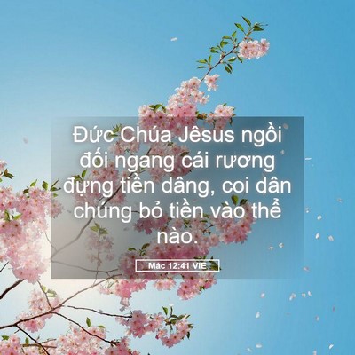 Picture 05 - Mác 12:41 VIE - Đức Chúa Jêsus ngồi đối ngang cái - Bible Verse Picture