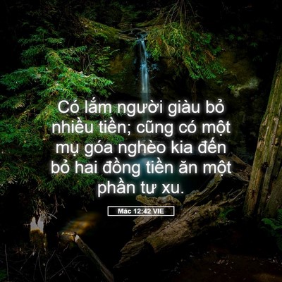 Picture 05 - Mác 12:42 VIE - Có lắm người giàu bỏ nhiều tiền; - Bible Verse Picture