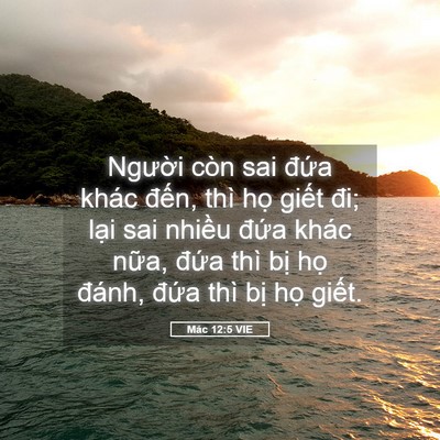 Picture 05 - Mác 12:5 VIE - Người còn sai đứa khác đến, thì họ - Bible Verse Picture