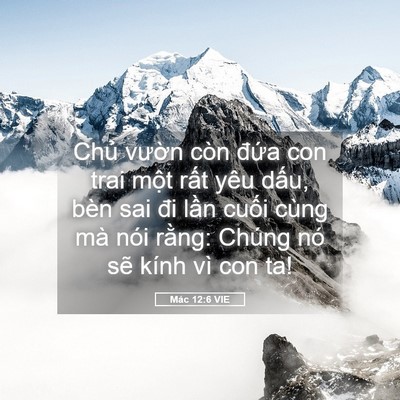 Picture 05 - Mác 12:6 VIE - Chủ vườn còn đứa con trai một rất - Bible Verse Picture
