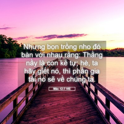 Picture 05 - Mác 12:7 VIE - Nhưng bọn trồng nho đó bàn với nhau - Bible Verse Picture