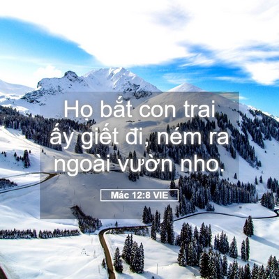 Picture 05 - Mác 12:8 VIE - Họ bắt con trai ấy giết đi, ném ra - Bible Verse Picture