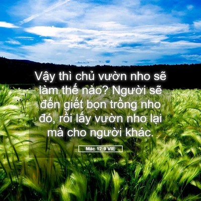 Picture 05 - Mác 12:9 VIE - Vậy thì chủ vườn nho sẽ làm thế - Bible Verse Picture