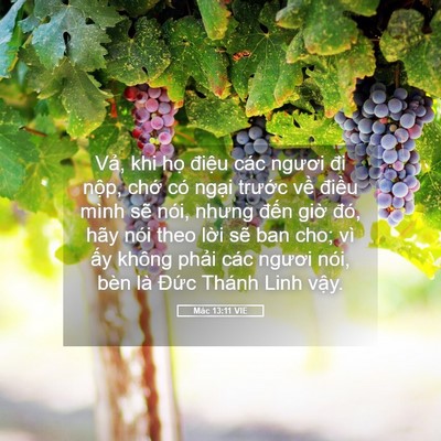 Picture 05 - Mác 13:11 VIE - Vả, khi họ điệu các ngươi đi nộp, - Bible Verse Picture