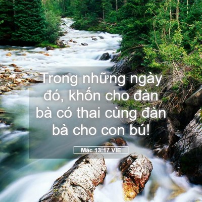 Picture 05 - Mác 13:17 VIE - Trong những ngày đó, khốn cho đàn bà - Bible Verse Picture