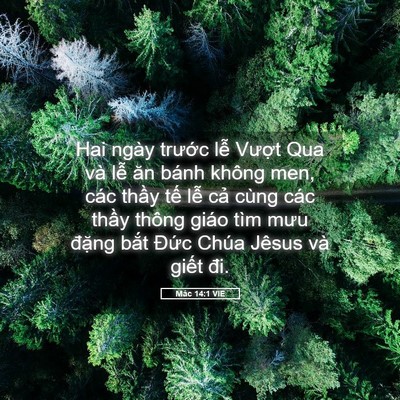 Picture 05 - Mác 14:1 VIE - Hai ngày trước lễ Vượt Qua và lễ ăn - Bible Verse Picture