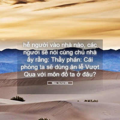 Picture 05 - Mác 14:14 VIE - hễ người vào nhà nào, các ngươi sẽ - Bible Verse Picture