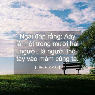 Picture 05 - Mác 14:20 VIE - Ngài đáp rằng: Aáy là một trong mười - Bible Verse Picture