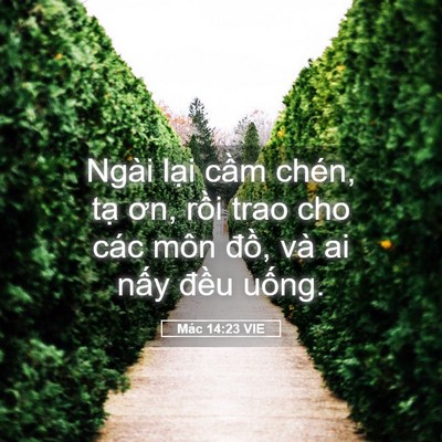 Picture 05 - Mác 14:23 VIE - Ngài lại cầm chén, tạ ơn, rồi trao cho - Bible Verse Picture