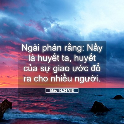 Picture 05 - Mác 14:24 VIE - Ngài phán rằng: Nầy là huyết ta, huyết - Bible Verse Picture