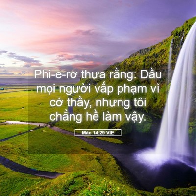 Picture 05 - Mác 14:29 VIE - Phi-e-rơ thưa rằng: Dầu mọi người - Bible Verse Picture