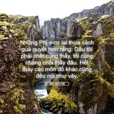 Picture 05 - Mác 14:31 VIE - Nhưng Phi-e-rơ lại thưa cách quả quyết - Bible Verse Picture