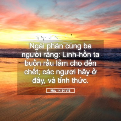 Picture 05 - Mác 14:34 VIE - Ngài phán cùng ba người rằng: Linh-hồn - Bible Verse Picture