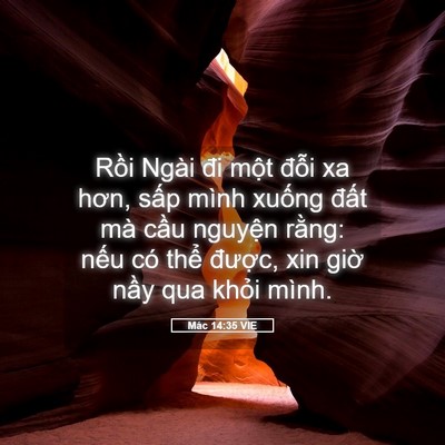 Picture 05 - Mác 14:35 VIE - Rồi Ngài đi một đỗi xa hơn, sấp mình - Bible Verse Picture