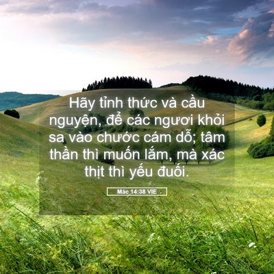 Picture 05 - Mác 14:38 VIE - Hãy tỉnh thức và cầu nguyện, để các - Bible Verse Picture
