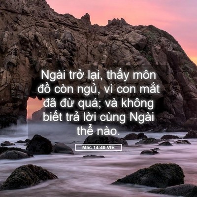 Picture 05 - Mác 14:40 VIE - Ngài trở lại, thấy môn đồ còn ngủ, - Bible Verse Picture