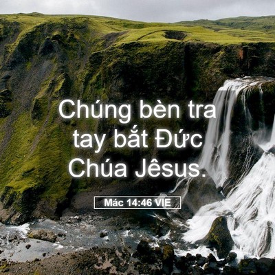 Picture 05 - Mác 14:46 VIE - Chúng bèn tra tay bắt Đức Chúa - Bible Verse Picture