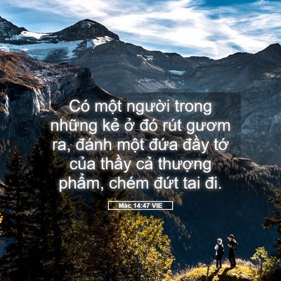 Picture 05 - Mác 14:47 VIE - Có một người trong những kẻ ở đó - Bible Verse Picture