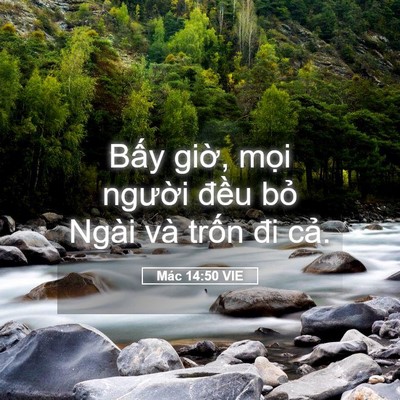 Picture 05 - Mác 14:50 VIE - Bấy giờ, mọi người đều bỏ Ngài và - Bible Verse Picture