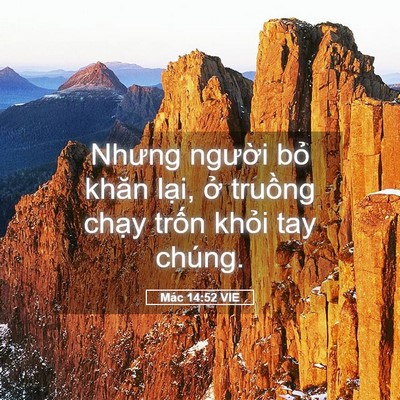 Picture 05 - Mác 14:52 VIE - Nhưng người bỏ khăn lại, ở truồng - Bible Verse Picture