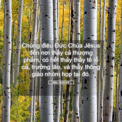 Picture 05 - Mác 14:53 VIE - Chúng điệu Đức Chúa Jêsus đến nơi - Bible Verse Picture