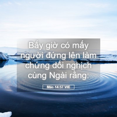 Picture 05 - Mác 14:57 VIE - Bấy giờ có mấy người đứng lên làm - Bible Verse Picture