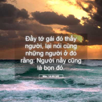 Picture 05 - Mác 14:69 VIE - Đầy tớ gái đó thấy người, lại nói - Bible Verse Picture