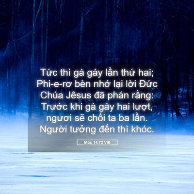 Picture 05 - Mác 14:72 VIE - Tức thì gà gáy lần thứ hai; Phi-e-rơ - Bible Verse Picture