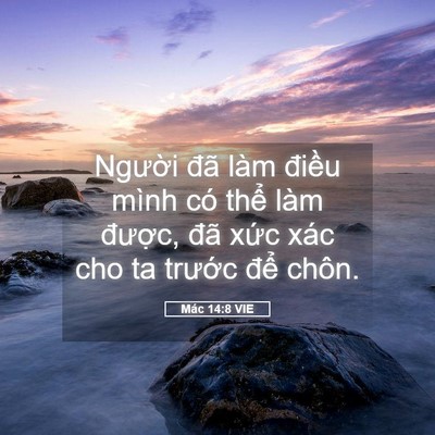 Picture 05 - Mác 14:8 VIE - Người đã làm điều mình có thể làm - Bible Verse Picture