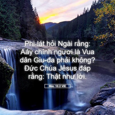 Picture 05 - Mác 15:2 VIE - Phi-lát hỏi Ngài rằng: Aáy chính ngươi - Bible Verse Picture