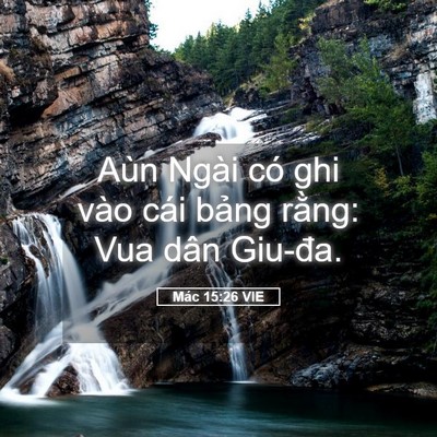 Picture 05 - Mác 15:26 VIE - Aùn Ngài có ghi vào cái bảng rằng: Vua - Bible Verse Picture