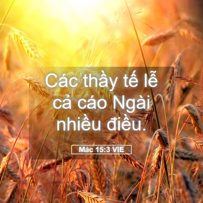 Picture 05 - Mác 15:3 VIE - Các thầy tế lễ cả cáo Ngài nhiều - Bible Verse Picture