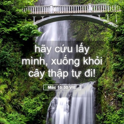 Picture 05 - Mác 15:30 VIE - hãy cứu lấy mình, xuống khỏi cây - Bible Verse Picture