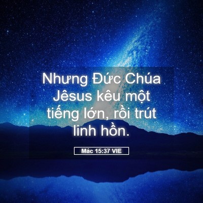 Picture 05 - Mác 15:37 VIE - Nhưng Đức Chúa Jêsus kêu một tiếng - Bible Verse Picture