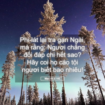 Picture 05 - Mác 15:4 VIE - Phi-lát lại tra gạn Ngài, mà rằng: - Bible Verse Picture