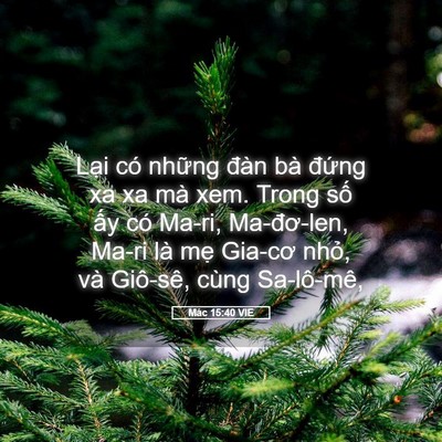 Picture 05 - Mác 15:40 VIE - Lại có những đàn bà đứng xa xa mà - Bible Verse Picture